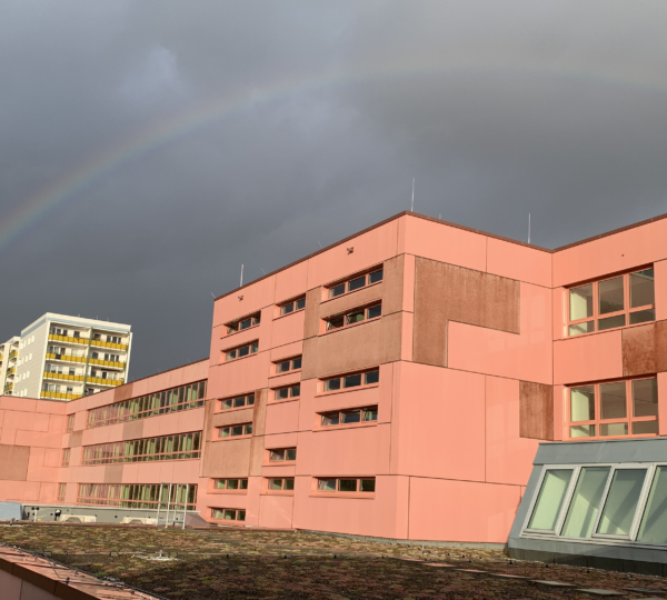 Schule Regenbogen